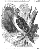 An illustration from Godey's Lady's Book January 1864 (1864)