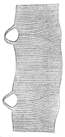 Picture 10 of 12 from Godey's Lady's Book July 1864 (1864), leaf 75