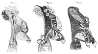 An illustration from Godey's Lady's Book October 1864 (1864)
