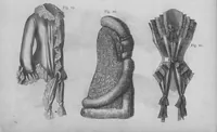 Picture 2 of 13 from Godey's Lady's Book Volume 100 January To June 1880 (1880), leaf 16