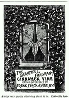 Picture 14 of 14 from Golden Days Volume 9 Number 10 (February 4, 1888) (1888), leaf 18