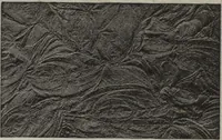 An illustration from Building material (1918)