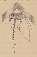 Picture 5 of 11 from A Handbook for Greek and Roman lace making (1869), leaf 20