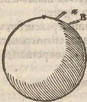 An illustration from Guilielmi Gilberti Colcestrensis, medici londinensis, De magnete : magneticisque corporibus, et de magno magnete tellure; physiologia noua, plurimis & argumentis, & experimentis demonstrata (1600)