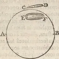 An illustration from Guilielmi Gilberti Colcestrensis, medici londinensis, De magnete : magneticisque corporibus, et de magno magnete tellure; physiologia noua, plurimis & argumentis, & experimentis demonstrata (1600)