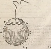 An illustration from Guilielmi Gilberti Colcestrensis, medici londinensis, De magnete : magneticisque corporibus, et de magno magnete tellure; physiologia noua, plurimis & argumentis, & experimentis demonstrata (1600)