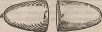 An illustration from Guilielmi Gilberti Colcestrensis, medici londinensis, De magnete : magneticisque corporibus, et de magno magnete tellure; physiologia noua, plurimis & argumentis, & experimentis demonstrata (1600)