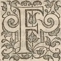 An illustration from Guilielmi Gilberti Colcestrensis, medici londinensis, De magnete : magneticisque corporibus, et de magno magnete tellure; physiologia noua, plurimis & argumentis, & experimentis demonstrata (1600)