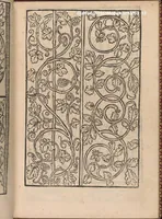 An illustration from Modelbuch new aller art nehens und stickens. Jetzundt wider mit viel schoenen moedelen unnd stahlen, allen steinmetzen, schreinern, seidenstickern und nederinnen, sehr nuetzlich und luestig zugericht (1553)