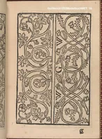 An illustration from Modelbuch new aller art nehens und stickens. Jetzundt wider mit viel schoenen moedelen unnd stahlen, allen steinmetzen, schreinern, seidenstickern und nederinnen, sehr nuetzlich und luestig zugericht (1553)