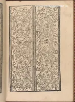An illustration from Modelbuch new aller art nehens und stickens. Jetzundt wider mit viel schoenen moedelen unnd stahlen, allen steinmetzen, schreinern, seidenstickern und nederinnen, sehr nuetzlich und luestig zugericht (1553)