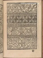 An illustration from Modelbuch new aller art nehens und stickens. Jetzundt wider mit viel schoenen moedelen unnd stahlen, allen steinmetzen, schreinern, seidenstickern und nederinnen, sehr nuetzlich und luestig zugericht (1553)