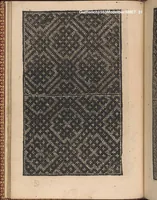 Picture 8 of 18 from Modelbuch new aller art nehens und stickens. Jetzundt wider mit viel schoenen moedelen unnd stahlen, allen steinmetzen, schreinern, seidenstickern und nederinnen, sehr nuetzlich und luestig zugericht (1553), leaf 30