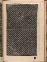 An illustration from Modelbuch new aller art nehens und stickens. Jetzundt wider mit viel schoenen moedelen unnd stahlen, allen steinmetzen, schreinern, seidenstickern und nederinnen, sehr nuetzlich und luestig zugericht (1553)