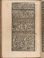 An illustration from Modelbuch new aller art nehens und stickens. Jetzundt wider mit viel schoenen moedelen unnd stahlen, allen steinmetzen, schreinern, seidenstickern und nederinnen, sehr nuetzlich und luestig zugericht (1553)