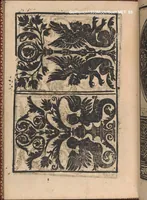 An illustration from Modelbuch new aller art nehens und stickens. Jetzundt wider mit viel schoenen moedelen unnd stahlen, allen steinmetzen, schreinern, seidenstickern und nederinnen, sehr nuetzlich und luestig zugericht (1553)