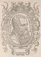 Picture 1 of 41 from Gulielmi Rondeletii doctoris Medici et medicinae ... Libri de piscibus marinis : in quibus veræ piscium effigies expressae sunt : quæ in tota piscium historia continentur, indicat elenchus pagina nona et decima : postremo accesserunt indices necessarij (1554), leaf 20