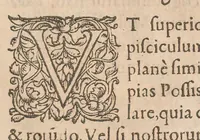 An illustration from Gulielmi Rondeletii doctoris Medici et medicinae ... Libri de piscibus marinis : in quibus veræ piscium effigies expressae sunt : quæ in tota piscium historia continentur, indicat elenchus pagina nona et decima : postremo accesserunt indices necessarij (1554)
