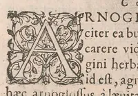 An illustration from Gulielmi Rondeletii doctoris Medici et medicinae ... Libri de piscibus marinis : in quibus veræ piscium effigies expressae sunt : quæ in tota piscium historia continentur, indicat elenchus pagina nona et decima : postremo accesserunt indices necessarij (1554)
