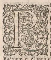 An illustration from Gulielmi Rondeletii doctoris Medici et medicinae ... Libri de piscibus marinis : in quibus veræ piscium effigies expressae sunt : quæ in tota piscium historia continentur, indicat elenchus pagina nona et decima : postremo accesserunt indices necessarij (1554)