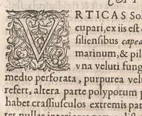 An illustration from Gulielmi Rondeletii doctoris Medici et medicinae ... Libri de piscibus marinis : in quibus veræ piscium effigies expressae sunt : quæ in tota piscium historia continentur, indicat elenchus pagina nona et decima : postremo accesserunt indices necessarij (1554)