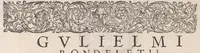 An illustration from Gulielmi Rondeletii doctoris Medici et medicinae ... Libri de piscibus marinis : in quibus veræ piscium effigies expressae sunt : quæ in tota piscium historia continentur, indicat elenchus pagina nona et decima : postremo accesserunt indices necessarij (1554)