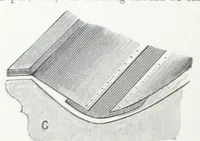 An illustration from H.W. Johns' standard asbestos materials. (1882)