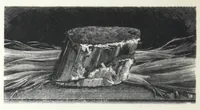 An illustration from H.W. Johns' standard asbestos materials. (1882)