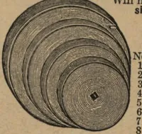 An illustration from Hardware (1919)