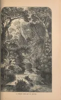 An illustration from The Hawaiian archipelago. Six months among the palm groves, coral reefs, & volcanoes of the Sandwich Islands (1876)