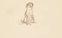 Picture 4 of 16 from Hey diddle diddle and Baby bunting (1882), leaf 10
