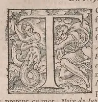 An illustration from Histoire generale des plantes : contenant XVIII livres egalement de partis en deux tomes (1653)