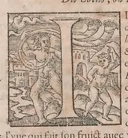 An illustration from Histoire generale des plantes : contenant XVIII livres egalement de partis en deux tomes (1653)