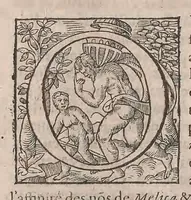 Picture 19 of 108 from Histoire generale des plantes : contenant XVIII livres egalement de partis en deux tomes (1653), leaf 354