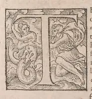 Picture 80 of 108 from Histoire generale des plantes : contenant XVIII livres egalement de partis en deux tomes (1653), leaf 762