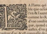 Picture 101 of 108 from Histoire generale des plantes : contenant XVIII livres egalement de partis en deux tomes (1653), leaf 917