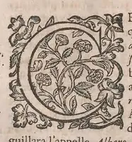 Picture 4 of 108 from Histoire generale des plantes : contenant XVIII livres egalement de partis en deux tomes (1653), leaf 98