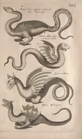 An illustration from Historiae naturalis de quadrupetibus libri : cum aeneis figuris; [Historiae naturalis de serpentibus libri II ; Historiae naturalis de insectis libri III ; Historiae naturalis de exanguibus aquaticis libri IV ; Historiae naturalis de piscibus et cetis libri V ; Historiae naturalis de avibus libri VI] (1650)