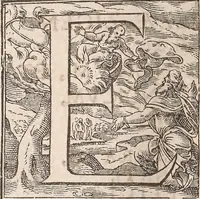An illustration from Historiae naturalis de quadrupetibus libri : cum aeneis figuris; [Historiae naturalis de serpentibus libri II ; Historiae naturalis de insectis libri III ; Historiae naturalis de exanguibus aquaticis libri IV ; Historiae naturalis de piscibus et cetis libri V ; Historiae naturalis de avibus libri VI] (1650)
