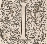 An illustration from Historiae naturalis de quadrupetibus libri : cum aeneis figuris; [Historiae naturalis de serpentibus libri II ; Historiae naturalis de insectis libri III ; Historiae naturalis de exanguibus aquaticis libri IV ; Historiae naturalis de piscibus et cetis libri V ; Historiae naturalis de avibus libri VI] (1650)