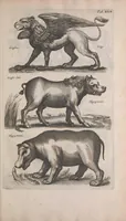 Picture 17 of 39 from Historiae naturalis de quadrupedibus libri : cum aeneis figuris (1657), leaf 183
