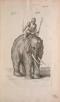 An illustration from Historiae naturalis de quadrupedibus libri : cum aeneis figuris (1657)