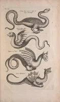 Picture 39 of 39 from Historiae naturalis de quadrupedibus libri : cum aeneis figuris (1657), leaf 607