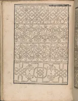 An illustration from New Modelbuch. Allen Nagerin unnd Sydenstickern Sehr nutzlich zu brauchen. (1556)