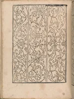 Picture 7 of 15 from New Modelbuch. Allen Nagerin unnd Sydenstickern Sehr nutzlich zu brauchen. (1556), leaf 28
