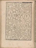 An illustration from New Modelbuch. Allen Nagerin unnd Sydenstickern Sehr nutzlich zu brauchen. (1556)