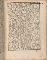An illustration from New Modelbuch. Allen Nagerin unnd Sydenstickern Sehr nutzlich zu brauchen. (1556)