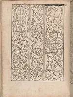 An illustration from New Modelbuch. Allen Nagerin unnd Sydenstickern Sehr nutzlich zu brauchen. (1556)