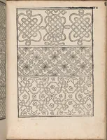 An illustration from New Modelbuch. Allen Nagerin unnd Sydenstickern Sehr nutzlich zu brauchen. (1556)