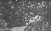 An illustration from Low-cost suburban homes, 3rd ed. (1908)